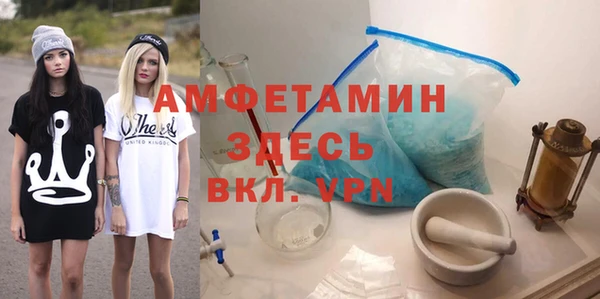 стаф Алзамай