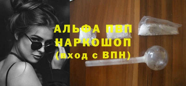стаф Алзамай