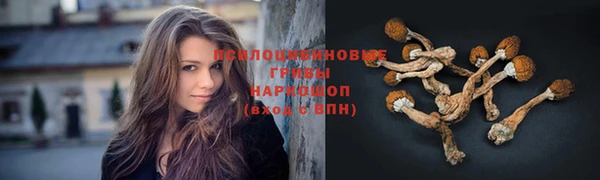 синтетический гашиш Кодинск