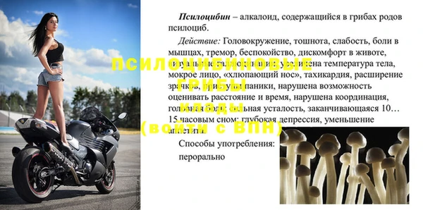 стаф Алзамай