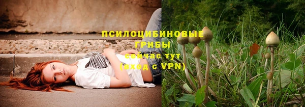 тгк Алексин