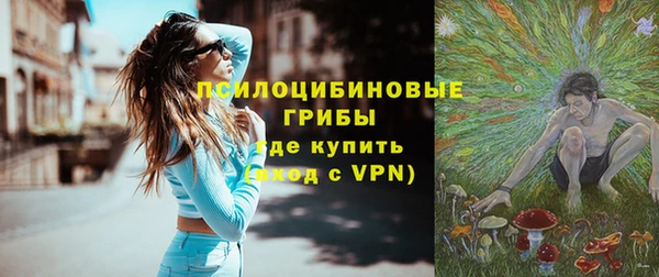 стаф Алзамай