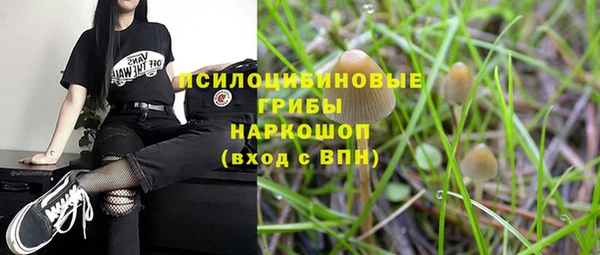 2c-b Алексеевка